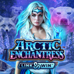 Arctic Enchantress